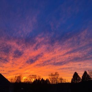 Meet your Posher, Skylar